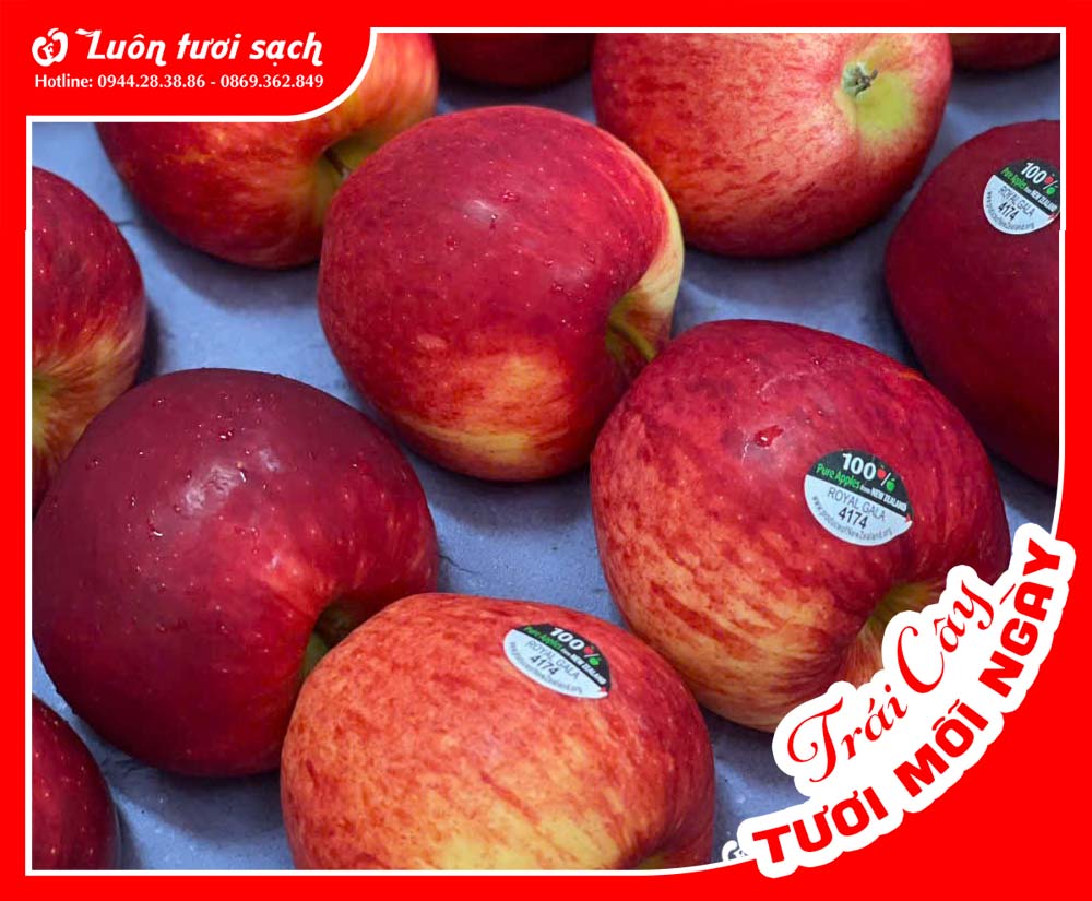 Táo Gala New Zealand